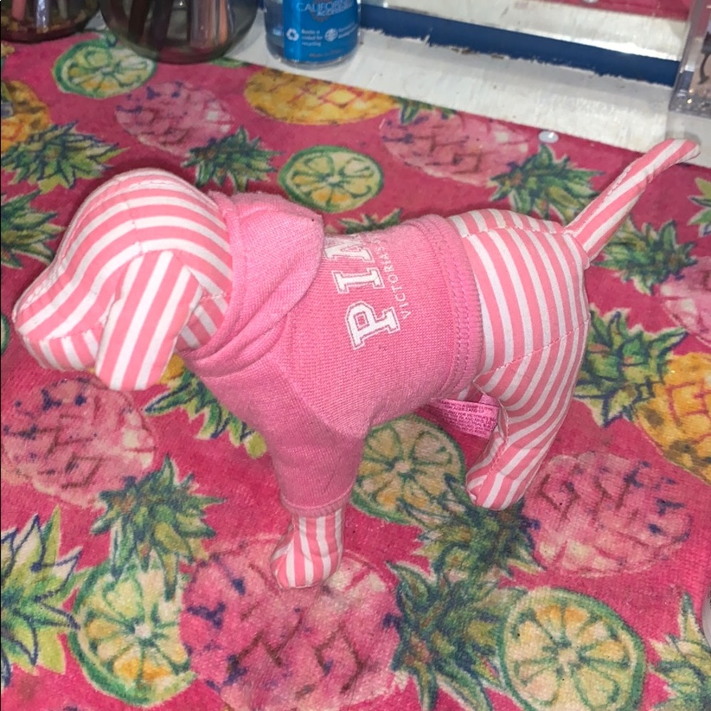 vs PINK dog